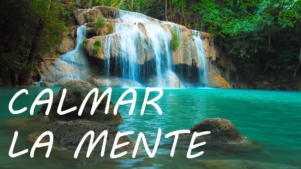 Miniatura del video